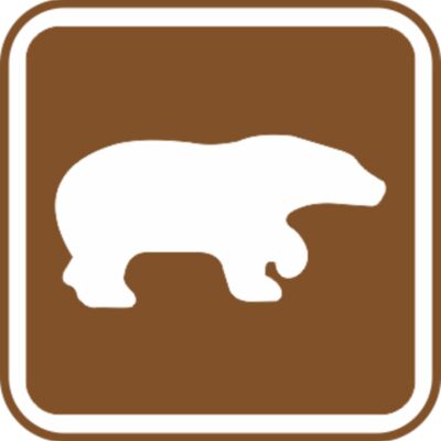 bear Thumbnail