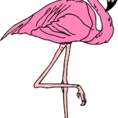 flamingo Thumbnail
